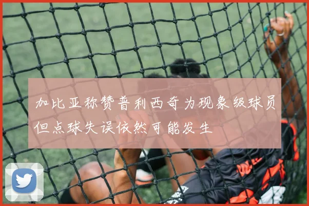 加比亚称赞普利西奇为现象级球员但点球失误依然可能发生