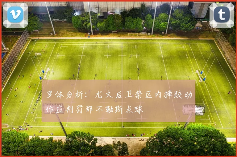 罗体分析：尤文后卫禁区内摔跤动作应判罚那不勒斯点球