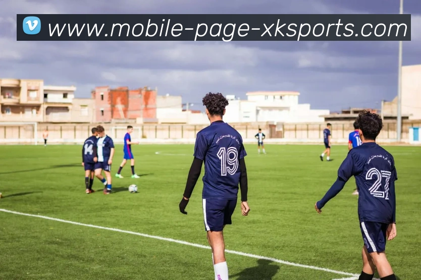 星空体育APP 高清赛事图